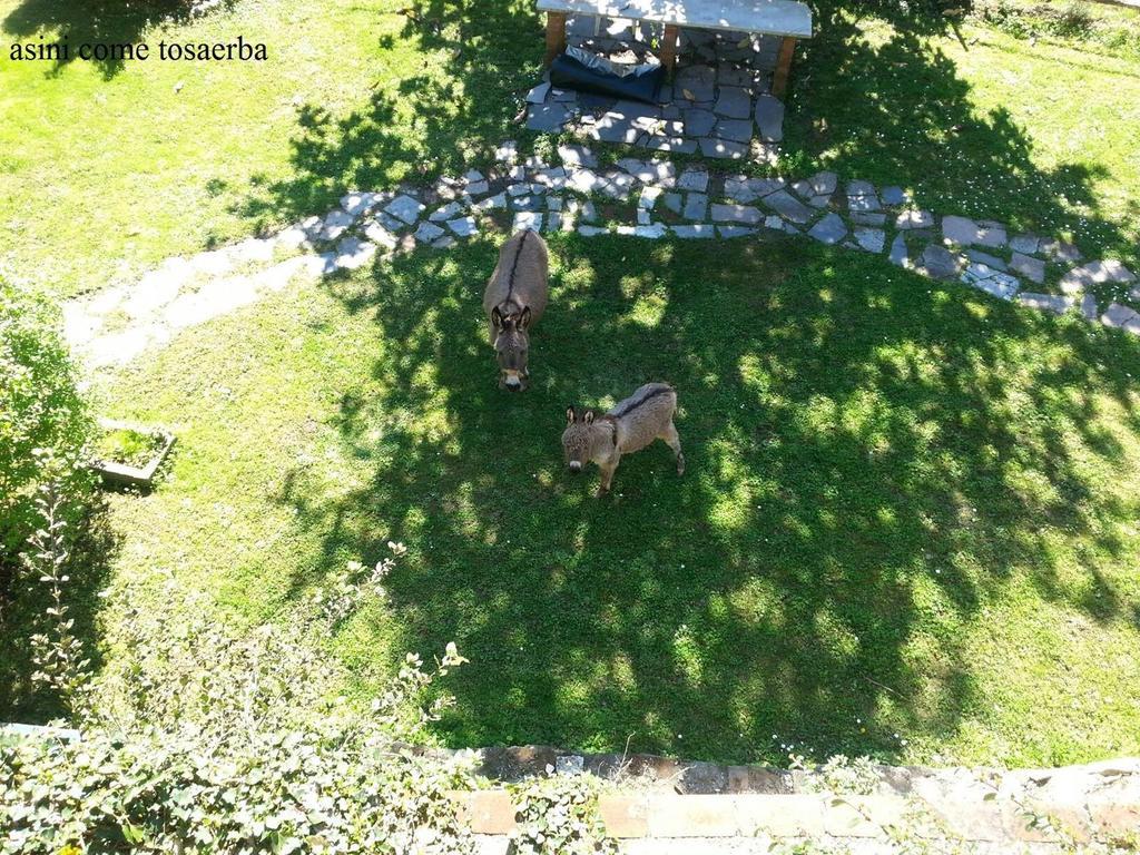 Il Borgo Della Colomba Fosdinovo Exterior foto